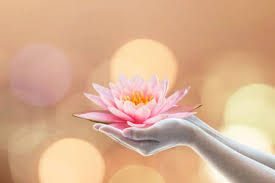 Are you looking for day of vesak design images templates psd or png vectors files? Wesak Day Stock Photos And Images 123rf