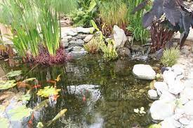 Maybe you would like to learn more about one of these? Koi Pond Los Angeles Enviroscape La Enviroscapela Com Wate Flickr