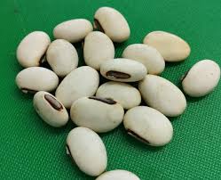 Image result for Canavalia