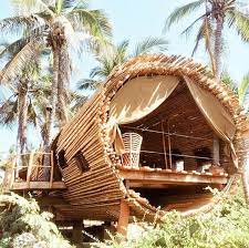 tropical tube tree house designs tree house bamboo architecture