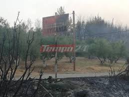 Αντιμέτωποι με μεγάλη περίμετρο φωτιάς και διάσπαρτες εστίες βρίσκονται 174 πυροσβέστες με 9 ομάδες πεζοπόρων και 52 οχήματα, ενώ από αέρως επιχειρούν περιοδικά 6 ελικόπτερα εκ των οποίων το ένα συντονιστικό και 7. Zeahegrnrvdkkm