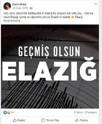 Zeytinyaginin Cilde Ve Saca Faydalari Nelerdir Zeytinyagi Saca Ve Cilde Nasil Uygulanir Cil Sampuan Sac