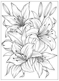 To engage the children purposefully inside the innovative routines children coloring pages can be found on numerous subject areas with their decision. Coloring Page With Lilies And Leaves Vector Page For Coloring Flower Colouring Page Floral Print Outline Lily Black And White Page For Coloring Book 2370605 Vector Art At Vecteezy