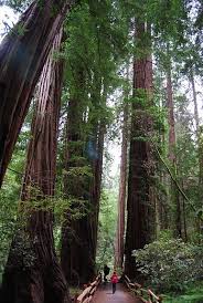 Pin On Travel Places I Ve Been