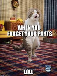 Maybe you would like to learn more about one of these? Gotta Go Cat Meme Imgflip