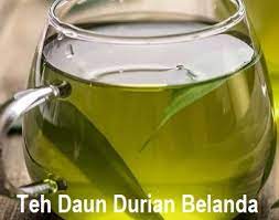 Daun pohon durian belanda dijadikan teh bagi membunuh sel kanser! Anim Agro Technology Teh Daun Durian Belanda Hebatnya