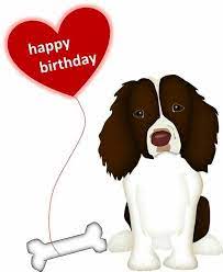 Maybe you would like to learn more about one of these? Birthday Springer Spaniel Art English Springer Spaniel Springer Spaniel
