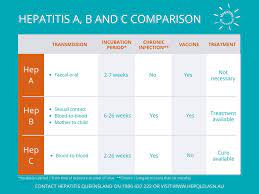 Viral hepatitis is an inflammation of your liver that's caused by a virus. Difference Between Hepatitis A B C What Are The Most Dangerous Types Of Hepatitis A B And C Biostar Pharmaceuticals Inc Viá»‡t Nam