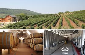 Prognoza meteo in comuna cotnari sâmbată, 14 noiembrie, 2020, sat din judetul iași, cod postal 707120, vremea pe ore in cotnari azi, maine si pentru 10 si 15 zile. Razvan SerghiuÈa Director General Cramele Cotnari La Cotnari Investigam Serios PotenÈialul Soiurilor RomaneÈti Impreunareusim