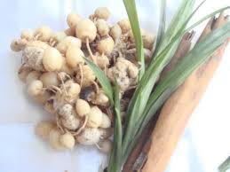 Entah anda memasaknya di kompor, di microwave, atau dengan penanak nasi (rice cooker), anda harus menakar beras dan air. Cara Merapatkan Miss V Dengan Kunyit Putih