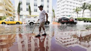 If your yard is relatively flat already, this shouldn't be an issue. Who Will Pay For The Huge Costs Of Holding Back Rising Seas Yale E360
