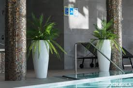 Maybe you would like to learn more about one of these? Vasi Miravila Perfetti Per L Esterno E Per L Interno Miravila