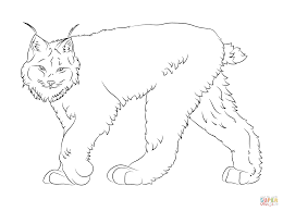 Free chinese new year coloring pages. Canadian Animal Colouring Pages Coloring And Drawing