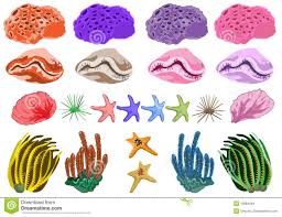 Ocean Coral In Illustration 13884064 Megapixl Sea cartoon corals illustration colours. ocean coral in illustration 13884064 megapixl
