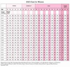 body mass chart for men british shorthair cat weight chart