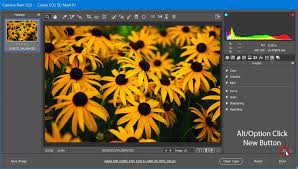 How to install presets in the free lightroom mobile app. 5 Secrets To Converting Presets To Profiles In Lightroom And Acr Fstoppers