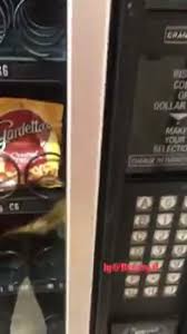 So i get why so many people are interesting in hacking soda and snack vending machines. Step By Step Instructions On How To Get Free Snacks From A Vending Machine Wow Video