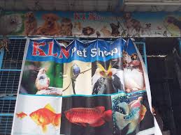 Online pet store with a variety of pet supplies with the lowest prices and free shipping. Top Pet Shops In Gavarapalem Anakapalle Best Pet Store Suppliers Justdial