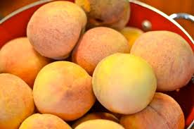 The other (clingstone) version is referred to as indian blood, indian blood cling or indian red cling. Peaches Putney Farm