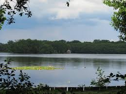 Randonnee Etang De Gruellau 20 Loire Atlantique Etang Loire