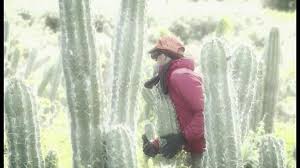 Un pañuelo (para los ojos). Video Avance Del Duro Juego De La Gallinita Ciega Entre Cactus