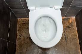 Stick to a schedule of cleaning your toilet bowl and tank. How To Get Rid Of The Toilet Bowl Ring 7 Easy Methods Oh So Spotless
