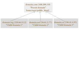 Whm Cpanel Multiple Ips Pointing To One Root Dir Stack Overflow