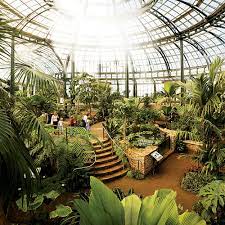 Huntington's disease is an incurable, hereditary brain disorder that damages brain. The Huntington Library Art Collections And Botanical Gardens Sunset Magazine