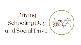 Driving Schooling Day