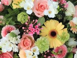 Rosas, gerberas, cartuchos, girasoles y flores exoticas en ciudades como cali, bogotá, medellin, manizales, pereira, ibague. 3 Consejos Para Armar Un Arreglo De Flores Para Mama