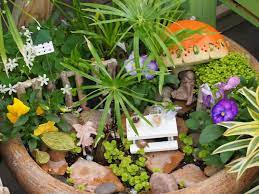 We Have Some Really Cute Fairy Garden Plants And Accessories Fairy Garden Plants Fairy Garden Colorful Garden