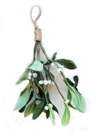 Image result for mistletoe