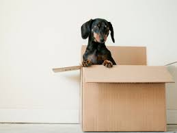 Maybe you would like to learn more about one of these? 5 Endroits Ou Recuperer Des Cartons De Demenagement Gratuits Femme Actuelle Le Mag