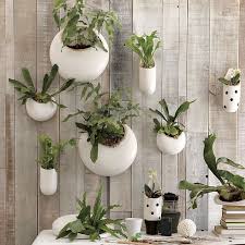 Compare 2021 indoor planters collection at the best specs and prices of indoor planters, outdoor planters, faux plants + flowers and more. Shane Powers Ceramic Wall Planters