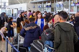 Gianna lou cassini, better known with her stage name nadia cassini, is a retired american actress, singer and showgirl who became famous in. Iom Assists Over 130 Yazidis To Resettle From Iraq To France Iraq Reliefweb