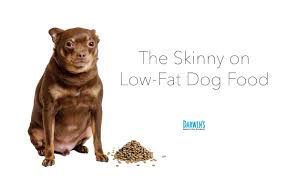Find out how to prevent obesity in dogs. Low Fat Dog Food Darwin S Natural Pet Products Darwin S Pet Food