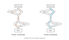 Rishal Hurbans - Medium