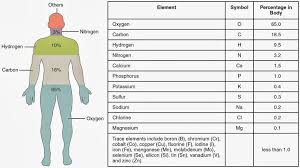 Elements In The Human Body Worksheet Human Body Particles Of Matter Anatomy And Physiology