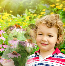 Honoring a special pet who is no longer with you