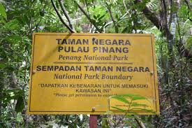 Penang national park admission fees & operation hours. Pantai Kerachut How To Visit The Best Beach In Penang