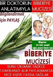 Biberiye Cayi Mucizesi Biberiye Cayinin Nelere Iyi Geldigini Biliyormunuz 1 Esim Evliligimizden Once Baslayan Migr Alternative Medicine Healthy Fitness Health