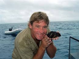Until his tragic death in 2006, irwin worked tirelessly to educate and advocate for animals and nature. Steve Irwin Documentary Tribute Air Sunday The Blade