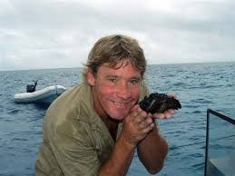Steve irwin was the director of the australia zoo in queensland, australia, and host of animal planet's series the crocodile hunter (1996). Steve Irwin Documentary Tribute Air Sunday The Blade
