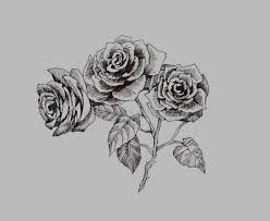 Atemberaubende freie bilder zum thema schwarz weiss zeichnung downloaden. Schone Einfarbige Schwarzweiss Blume Lokalisiert Von Hand Gezeichnete Tiefenlinieanschlage Vektor Abbildung Illustration Von Zeichnung Schon 59467095