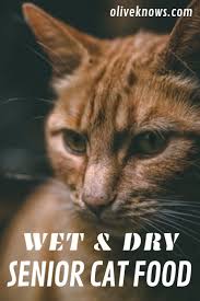 Suchen Sie Nach Dem Besten Nass Und Trockenfutter Fur Ihre Seniorenkatze Hier Ist Ein Leitfaden Fur Cat Care Tips Katzen Cat Senior Cat Care Senior Cat Best Cat Food