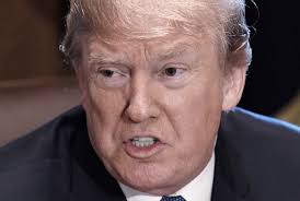 Panel at UVic to discuss journalism amid reality of fake news