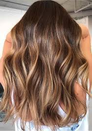 Warm Brunette Balayage Hair Color Shades To Try In 2019 Primemod Balayage Hair Brunette Balayage Hair Brunette Hair Color