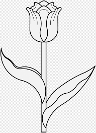Terdapat berbagai macam 88 contoh gambar sketsa bunga tulip terbaru. Floral Design Tulip Desktop Flower Tulip White Leaf Branch Png Pngwing