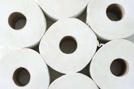 Check spelling or type a new query. Best Toilet Paper For Your Plumbing Family Handyman