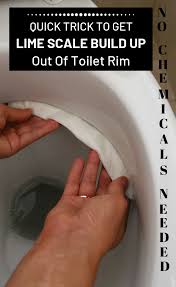 No Chemicals Needed Quick Way To Get Lime Scale Build Up Out Of Toilet Rim 101cleaningti Toilet Hard Water Stains Clean Toilet Bowl Clean Toilet Bowl Stains